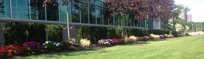 Commercial Lawn Maintenance Wyckoff, NJ - Banner
